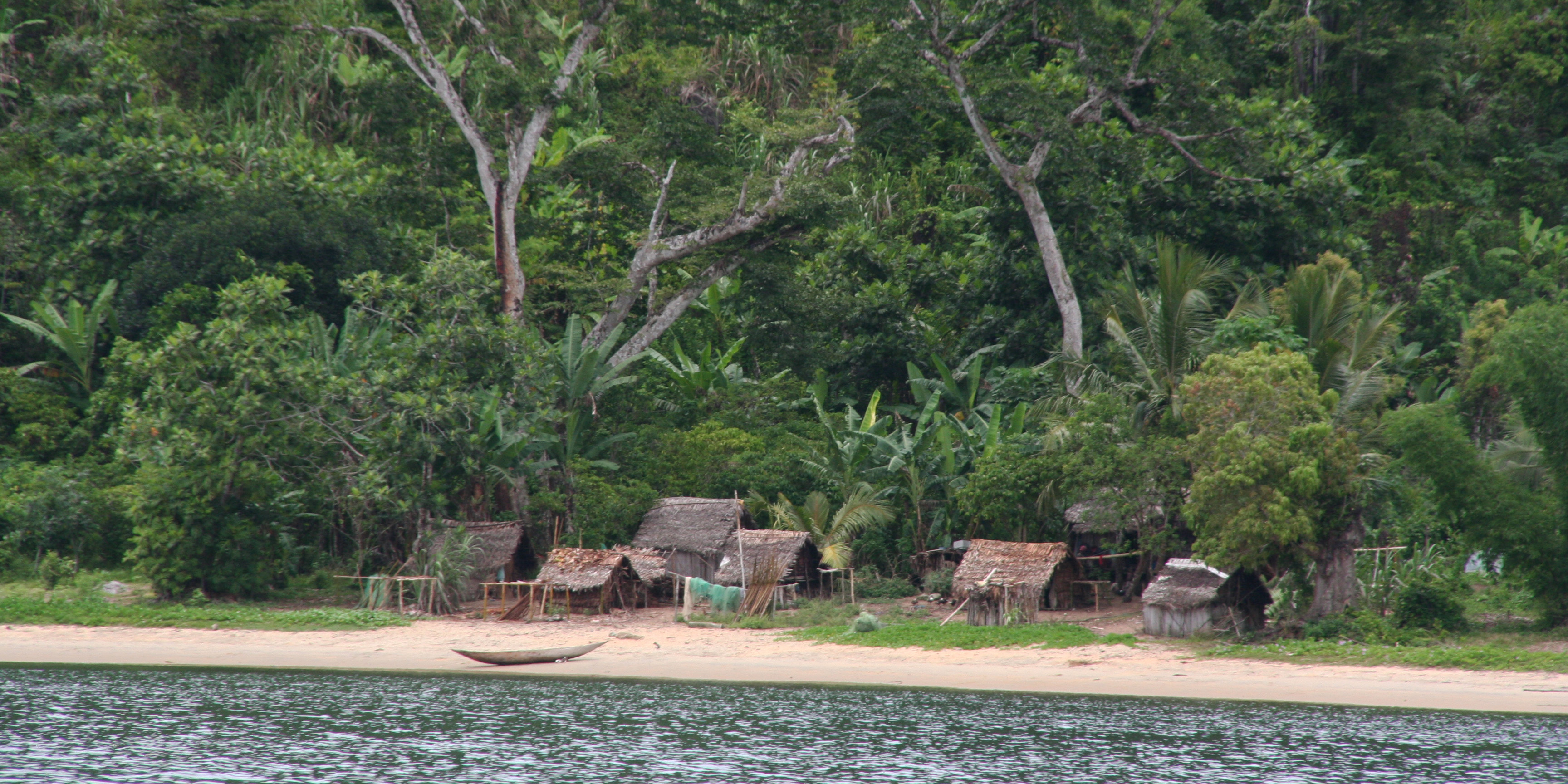 Lodge gelegen in het regenwoud aan zee
